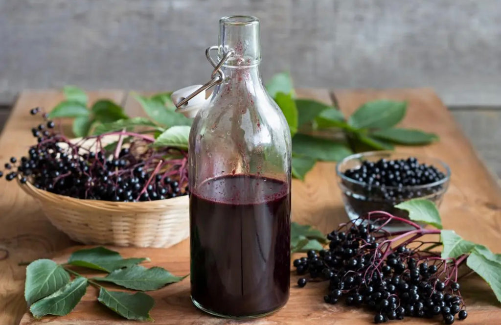 Pure Elderberry Syrup With Ginger Sea Moss, Cinnamon, Echinacea, & Raw Local Honey 16oz (32 day supply)