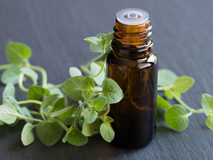 Wheat Grass with Oil of Oregano & lemon